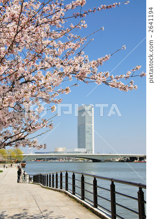 Toki Messe and Sakura 2641194