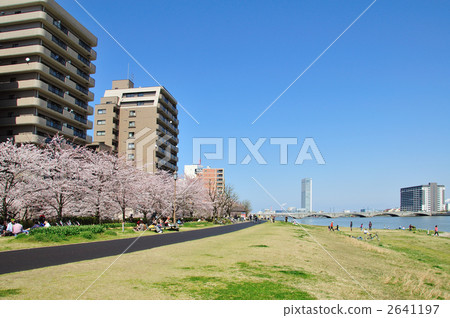 Yasuragi Tsutsumi spring Yasuragi Tsutsumi spring 2641197