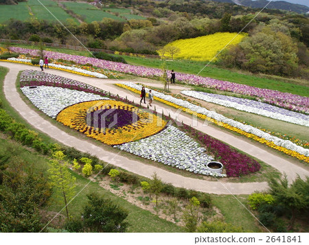 在4月下旬的淡路花 2641841