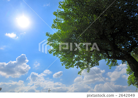 夏季天空 雲彩 雲 2642049