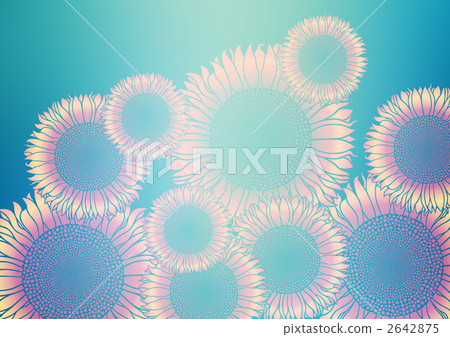 floral, floral design, floral pattern 2642875