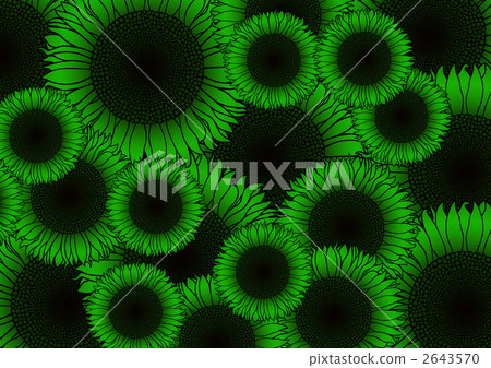 floral, floral design, floral pattern 2643570