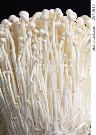 Enoki 2643610