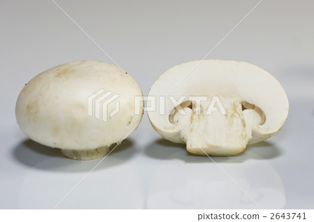 橫截面 橫截面 2643741