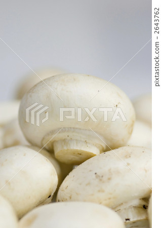 很多蘑菇 2643762