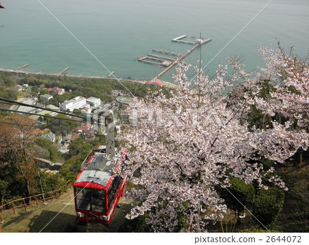 Sakura Muu Sumiura Park“Yamaki-ko”（Suma-uro Ropeway） 2644072
