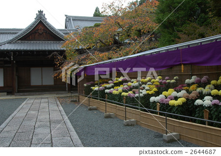 京都Komyoji寺廟的秋天 2644687