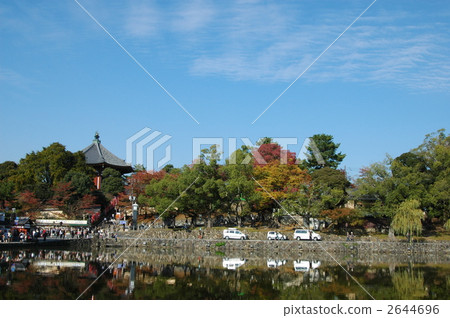 奈良秋天Sarusawa池塘 奈良秋天Sarusawa池塘 2644696