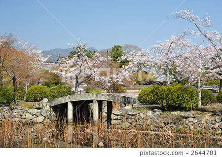 京都Tenryuji石橋和池塘和櫻花 京都Tenryuji石橋和池塘和櫻花 2644701