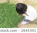 採花 女生 女 2645301