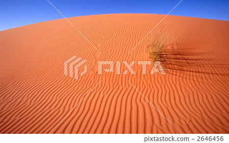 撒哈拉沙漠 2646456