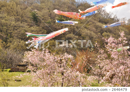 boys' festival, boys' day, carp streamer 2646479