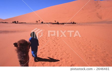 Sahara Desert Sahara Desert 2646481