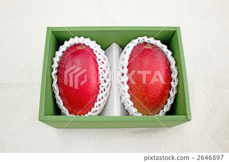 盒裝芒果 2646897