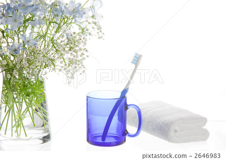 清爽的早晨 2646983