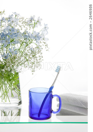 Refreshing morning 2646986