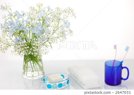 清爽的早晨 2647031