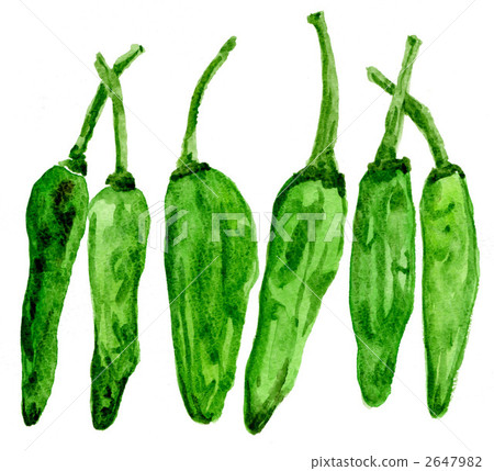 Shishito 1151pix 2647982