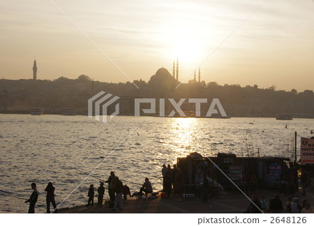 黃昏的魚 2648126