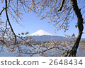 mountain fuji, mt fuji, mt.fuji 2648434