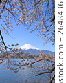 lake kawaguchi, snow mountain, snowy mountain 2648436