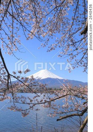 lake kawaguchi, snow mountain, snowy mountain 2648436