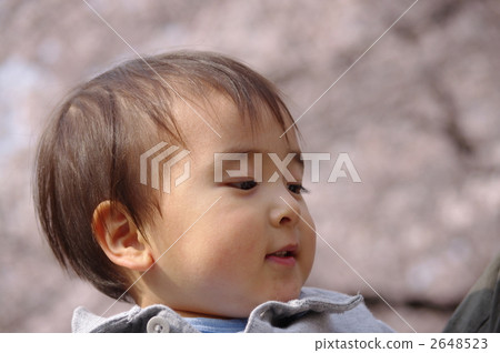 在櫻花下 2648523