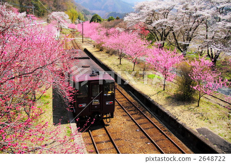 Watase volcano in spring full bloom train station 2648722