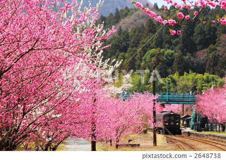 Watase volcano in spring full bloom train station 2648738
