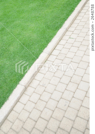 草坪和通道 2648788