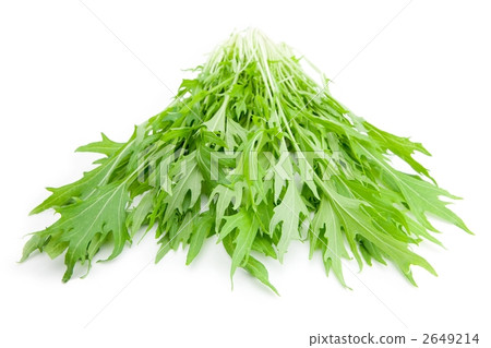 Mizuna Mizuna 2649214