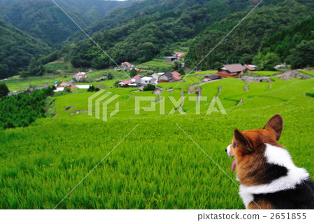 在夏末的石垣飯露台 2651855