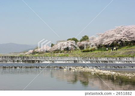 Kamogawa River in spring Kamogawa River in spring 2651882