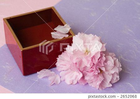 Sushi and cherry blossom viewing 2652068