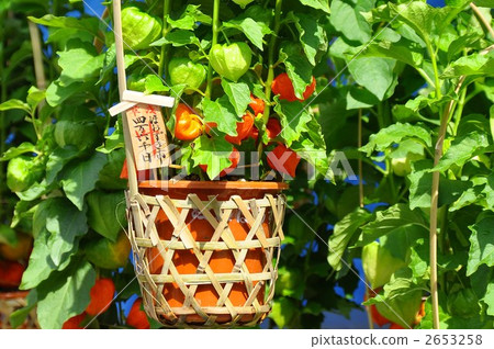 Asakusa Temple Crown City 2653258