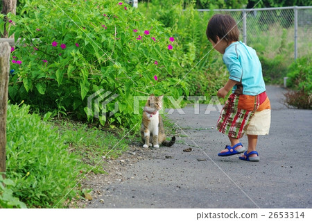 Cat! I love you ^ ^ Cat! I love you ^ ^ 2653314
