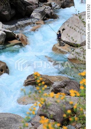 Yamabuki Akari Valley 2653392