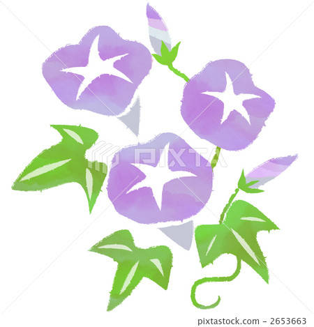 morning glory, flower, flowers 2653663