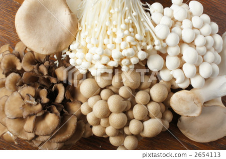 各種蘑菇 2654113