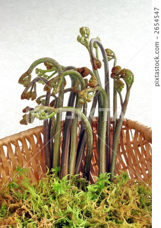 Seasonal wild vegetables (Warabi) 2654547