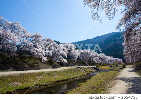 Spring pattern of the Ugo River 2654755