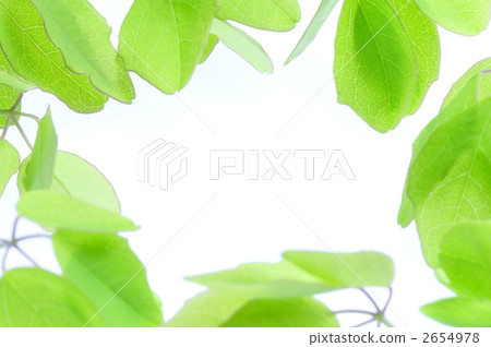 阿克比的年輕假框架 2654978