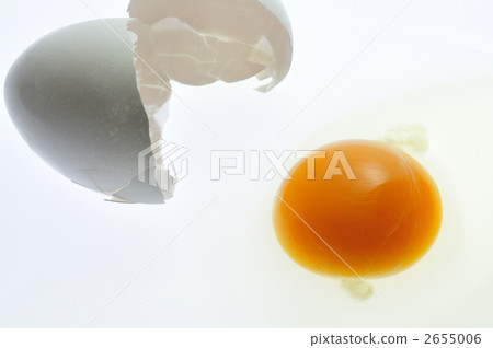 Fresh egg / sideways 2655006
