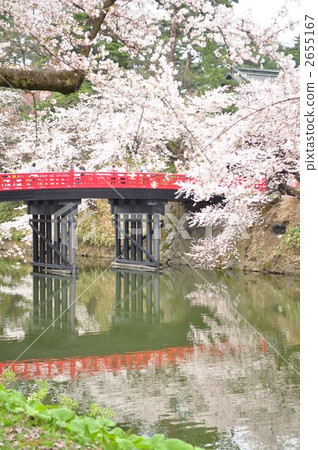 Sakura and Shimoda Bridge Sakura and Shimoda Bridge 2655167