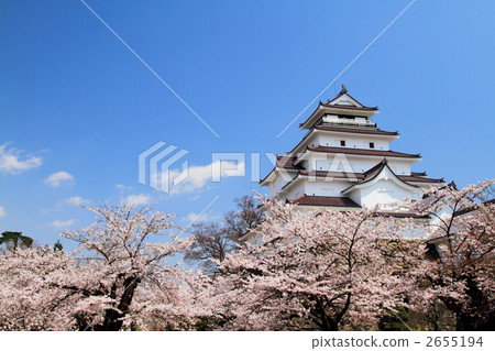 Tsuruga castle in spring 2655194