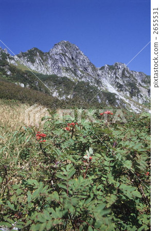 Nanakamado and Treasure Mountains 2655531