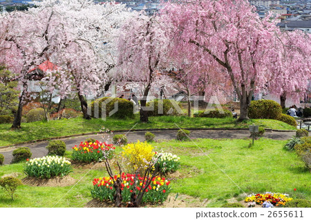 Spring Tsukioka Park 2655611