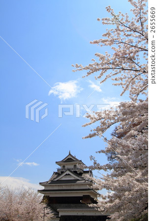 Spring upper mountain castle 2655669