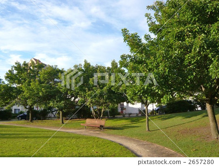 Path in green 2657280