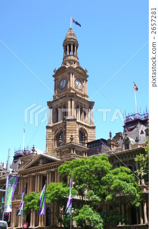 Town hall in Sydney and jagalanta tree without flowers 2657281
